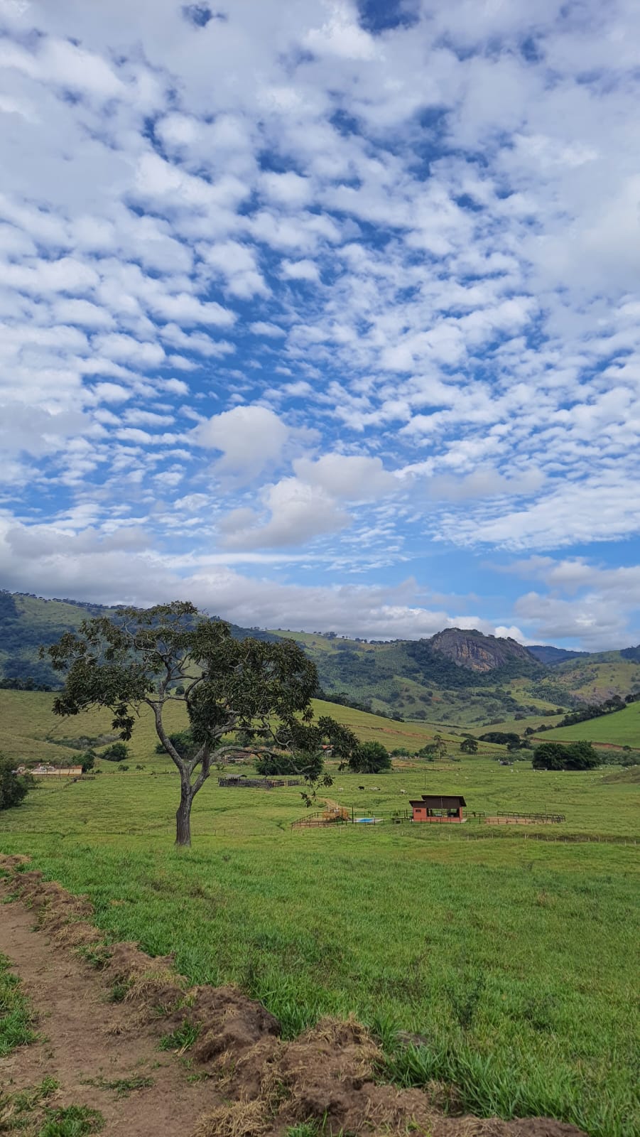 Paisagem